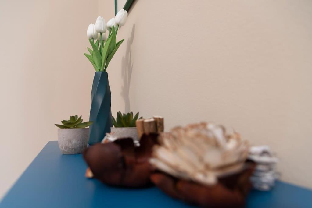 +elegant In The Center With Etna View+ Appartamento *